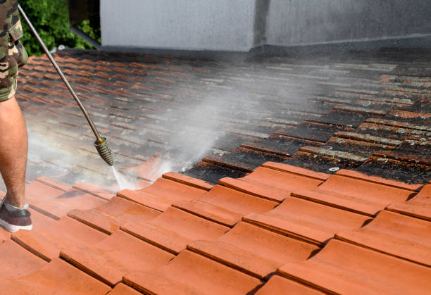 Best Fence Pressure Washing  in Freeport, IL