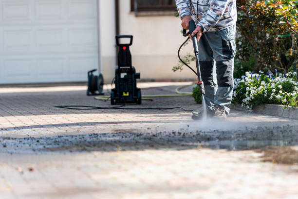 Best Roof Power Washing Services  in Freeport, IL