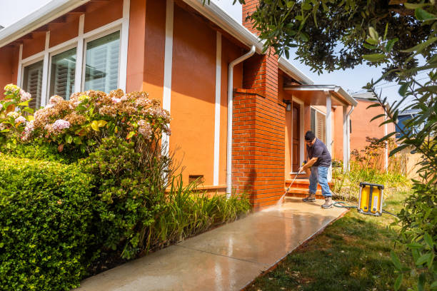 Best Roof Pressure Washing  in Freeport, IL